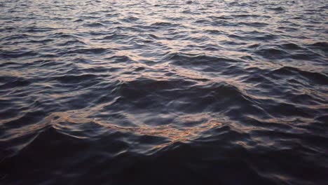 Park-Lake-waves-at-sunset.-Beautiful-calm-scenery