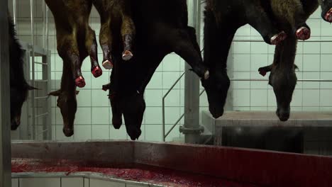 Blutende-Pferde-Hängen-An-Der-Schneidkette-Der-Fleischindustrie