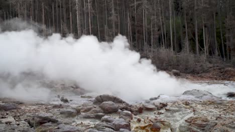 Steamboat-Geyser-in-the-Norris-Geyser-Basin-in-Yellowstone-National-Park