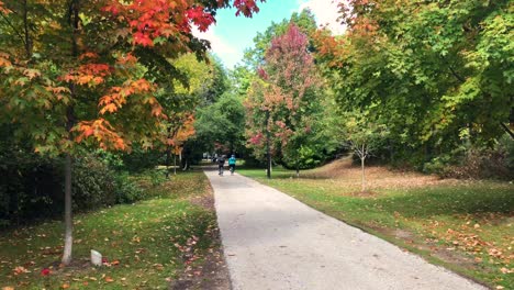 Biker-Auf-Einem-Trail-In-Einem-Bewaldeten-Park-Mit-Leuchtend-Roten-Und-Orangefarbenen-Blättern-An-Einem-Sonnigen-Herbsttag