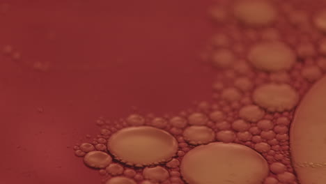 Macro-close-up-shot-of-small-bubbles-moving-on-red-surface