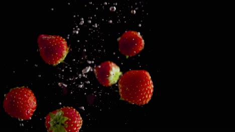 Erdbeeren-Fallen-Ins-Wasser-Super-Slowmotion,-Schwarzer-Hintergrund,-Viele-Luftblasen,-4k240fps
