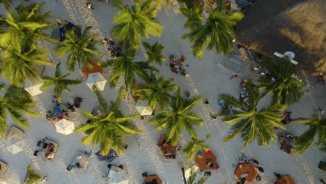 Top-Down-Aerial-View-of-People-Tanning-on-Tropical-White-Sand-Beach