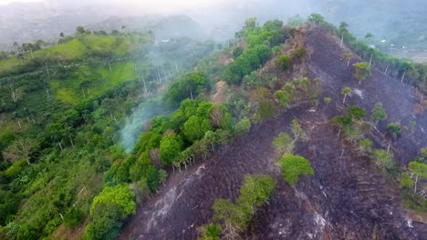Aerial-view-of-rain-forest-deforestation,-vanishing-woods-in-Amazon,-Brazil---Tracking,-drone-shot