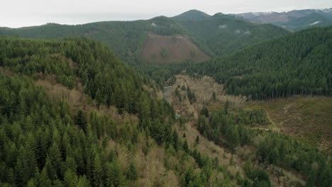 Flying-high-above-the-left-side-of-the-Washougal-River-Valley