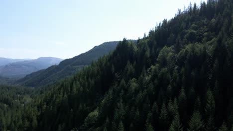 Slowly-rising-and-panning-across-evergreen-forest-covered-mountain-valley,-aerial