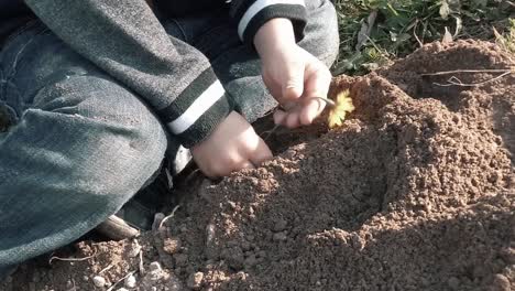 Niño-Plantando-Una-Flor-Amarilla