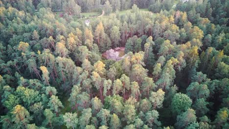 Reconstructed-Wooden-Castle-of-Semigallians-in-Tervete,-Latvia-Surrounded-by-Pine-Forest