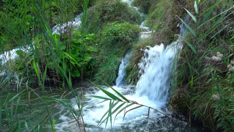 Water-rushing-down-green-grass-covered-formations-with-plants-blowing-in-the-foreground-in-Plitvice-Lakes-National-Park-in-Croatia,-Europe