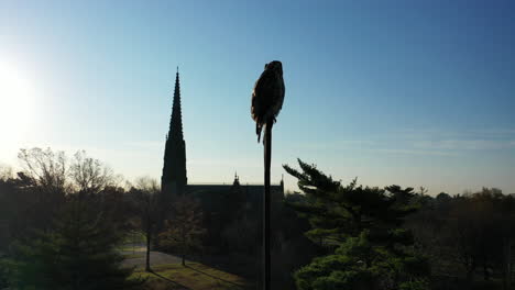A-close-up-shot-of-a-red-tail-hawk-perched-on-a-metal-cross-on-top-of-a-church-roof