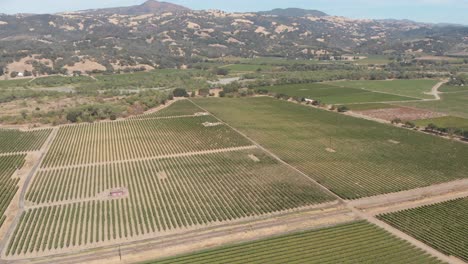 Aerial-of-Sonoma-valley-wineries-in-California