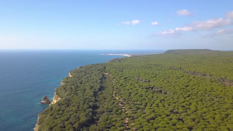 Aerial-view-of-a-big-forest-of-pines-in-the-mediterranean-coast-of-Spain-with-a-lighthouse-in-the-bacground