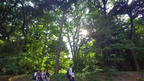 Slide-view-Meiji-Shinto-Shrine-entrance-walking