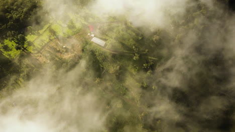 Niebla-Formándose-Sobre-Una-Granja-En-Una-Hermosa-Selva-Tropical
