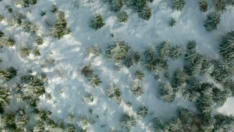 Langsame,-Aufschlussreiche-Aufnahme-Von-Einem-Schneebedeckten-Wald-Zu-Einer-Weiten-Malerischen-Landschaft-Im-Winter,-Schwarzwald,-Deutschland
