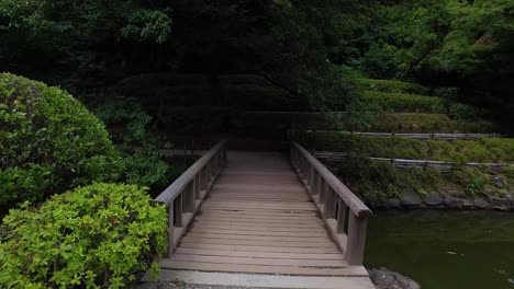 POV-walking-in-Yoyogi-park