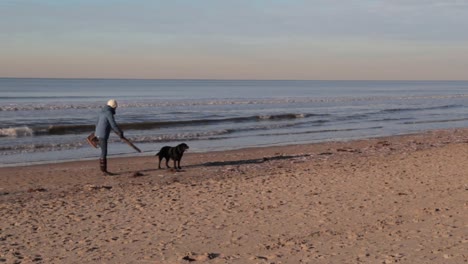 Frau-Spielt-Mit-Hund-Am-Sonnigen-Strand