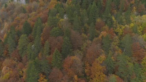 Aerial-footage,-wild-road-in-the-middle-of-the-Balkans-woods-during-the-autumn,-Bulgaria
