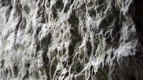 Holprige-Steinmauer,-Extreme-Nahaufnahme,-Tiefenschärfe