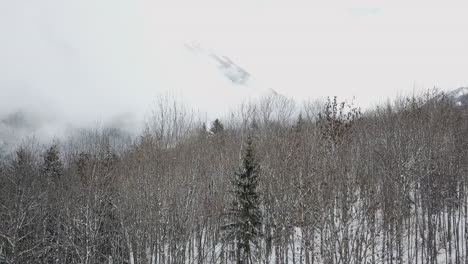 Drohnenaufnahme-Beim-Abstieg,-Beginnend-Mit-Bergen-Und-Niedrigen-Wolken,-Dann-Enthüllt-Er-Schneebedeckte-Alpenbäume