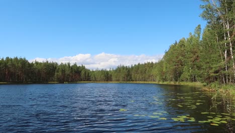 Vista-Pacífica-De-Un-Lago-En-Un-Parque-Nacional-En-Finlandia