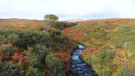 Scottish-Highland-river-on-a-beautiful-grassy-field