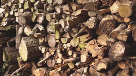 Wall-pile-of-stacked-natural-cut-wood-logs