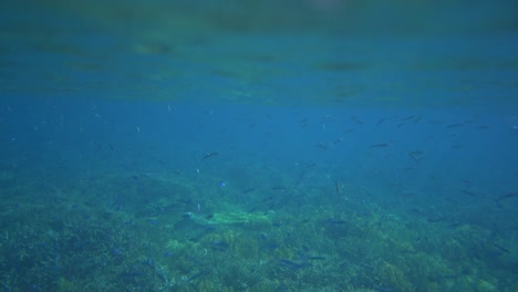 Camera-at-the-surface-with-waves-revealing-the-coral-reef-below-the-surface