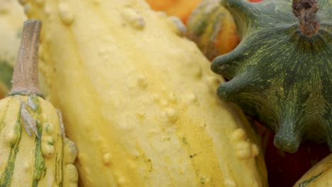 Up-close-slow-motion-pan-of-pumpkin-and-gourd-variety-fall-display