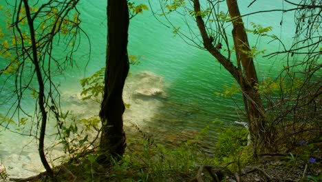 Grünes-Wasser-Einer-Lagune-Kräuselt-Sich-Im-Sonnenlicht