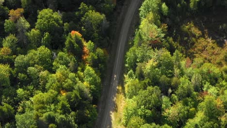 Aerial-footage-of-remote-forest-in-northern-Maine-TOP-DOWN-CLOSE-UP-of-dirt-road-leading-to-camps-on-a-lake