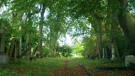 Woodland-cemetery-scene