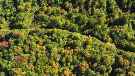 Aerial-drone-shot-over-the-top-of-colorful-autumn-trees-and-a-gravel-road-in-the-forest-as-summer-ends-and-the-season-changes-to-fall-in-Maine