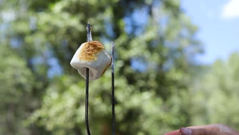 Shot-of-someone-pulling-a-gooey-golden-brown-marshmallow-off-of-a-metal-skewer-to-make-S'mores