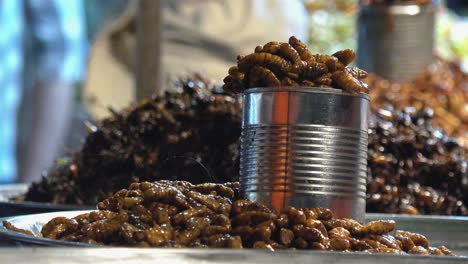 Picking-Fried-Insects-off-a-Tray-at-the-Night-Market