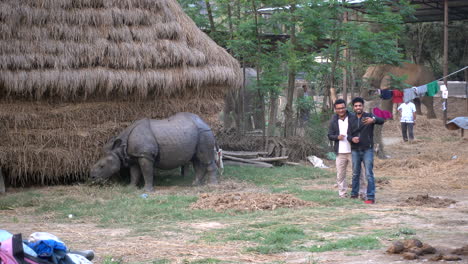 Touristen-Machen-Selfies-Mit-Einem-Nashorn-Im-Chitwan-Nationalpark-In-Nepal
