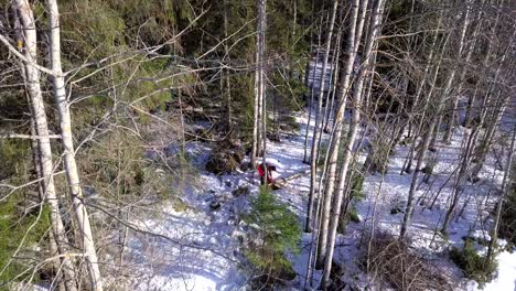 Aerial,-drone-shot-of-man-using-chainsaw-in-winter-forest