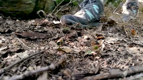 Close-up-view-of-female-feet-wearing-tracker-shoes-stepping-on-dried-leaves-in-deep-forest,-SLOMO,-STILL
