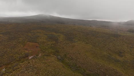 The-slopes-of-Mount-Kenya-on-2800m-above-sea-level,-during-an-overcast-day
