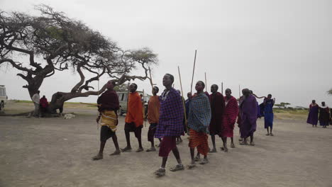 Hombres-Massai-Realizando-Un-Baile-De-Bienvenida-Para-Los-Turistas,-Parque-Nacional-Del-Serengeti,-Tanzania