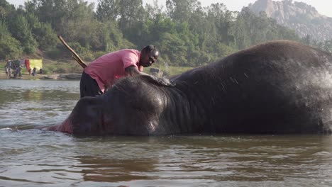 Männchen-In-Hampi,-Indien,-Seewaschen-–-Großer-Elefant-Badet-Im-Flusswasser