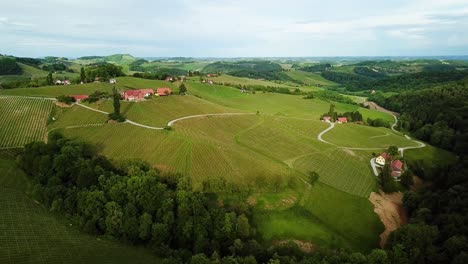 Aerial-landscape-orbit-shot-of-vineyards-on-hills-slovenia-europe