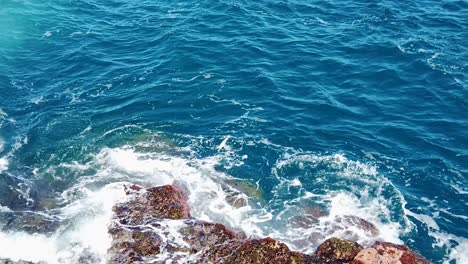 HD-Hawaii-Kauai-Zeitlupe,-Statische-Weitwinkelaufnahme-Einer-Kaum-Sichtbaren-Meeresschildkröte-Auf-Felsen-Mit-Wirbelnden-Meereswellen,-Während-Sich-Die-Schildkröte-Vom-Felsen-Entfernt