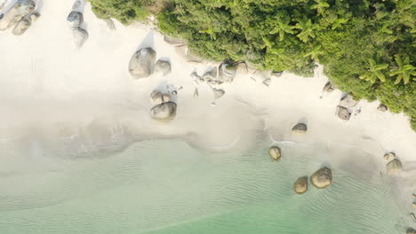 Aerial-view-from-above-a-brazilian-paradise-beach,-Campeche-Island,-Florianopolis,-Santa-Catarina,-Brazil