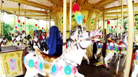 carousel-horse-at-amusement-park