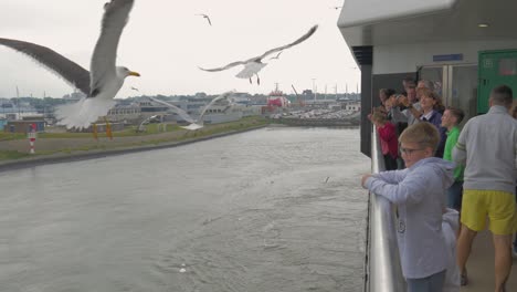 Feeding-Seagulls-on-a-Ferry-in-the-summer
