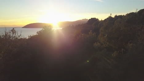 Aerial-Drone-Shot-Panning-Across-Tree-Tops-on-a-Beautiful-Sunset-in-Elba,-Italy