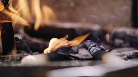 More-closer-and-burned-moment-from-the-little-part-of-the-burning-wood-pile-on-a-free-garden-oven