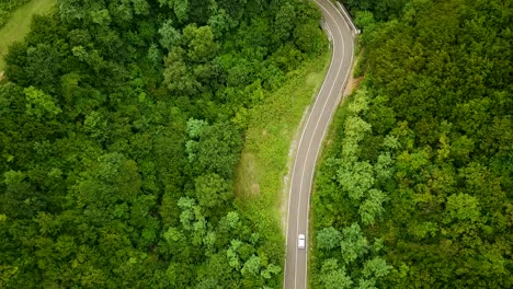 Curve-Black-Asphalt-Road-With-White-SUV-Cars-In-Mountain-Forest-Green-Highland-With-White-Lines-Beautiful-Freeway-Driving-Campers-Travelers-Of-Family-Or-Couples-Trip-To-Fresh-Landscape-On-Holidays