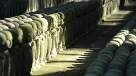 Slowly-focusing-on-endless-rows-of-Jizo-stones-statues-iluminated-by-soft-morning-light-and-shadows